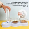 3-in-1 Pet Feeder with Two Bowls and Automatic Drinking Bottle