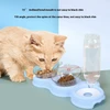 3-in-1 Pet Feeder with Two Bowls and Automatic Drinking Bottle