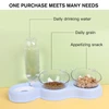 3-in-1 Pet Feeder with Two Bowls and Automatic Drinking Bottle
