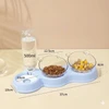 3-in-1 Pet Feeder with Two Bowls and Automatic Drinking Bottle