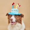 Dog Birthday Cake Hat with Candles – Adjustable Pet Party Hat for Small Dogs & Cats | Cute Birthday Costume