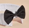 Pet Bow Tie Collar for Dogs & Cats – Adjustable Formal Bowtie Necktie for Small to Medium Pets (Size M)