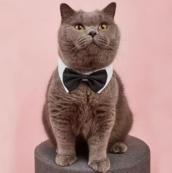 Pet Bow Tie Collar for Dogs & Cats – Adjustable Formal Bowtie Necktie for Small to Medium Pets (Size M)