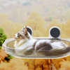 Comfortable Cat Window Perch Bed with Strong Suction Cups for Indoor Cats Sunbathing & Bird Watching