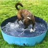 Portable PVC Pet Swimming Pool & Bathtub, Waterproof, Foldable, Indoor & Outdoor for Dogs (Blue-80cm)