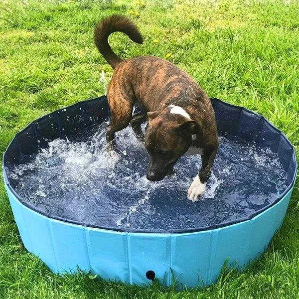 Portable PVC Pet Swimming Pool & Bathtub, Waterproof, Foldable, Indoor & Outdoor for Dogs (Blue-80cm)