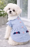 Light Blue Pet Dress for Small Dogs & Cats – Lace Collar Outfit with Buttons & Pocket Bows (Size: S)