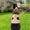 Adjustable Pet Harness Vest & Leash Lightweight Soft Mesh Breathable with Cute Flower for Dogs & Cats