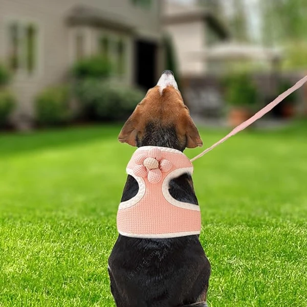 Adjustable Pet Harness Vest & Leash Lightweight Soft Mesh Breathable with Cute Flower for Dogs & Cats
