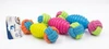 Rubber Dumbbell Dog Toy with Rope (21 CM)