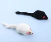Small Furry Plush Mouse Cat Toy (2 Pcs) White & Black