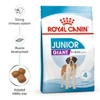 Royal Canin Giant Junior Dog Food 3.5 Kg