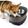 Stainless Steel Pet Double Bowl Food & Water Feeder for Cats and Dogs (Grey/Black)
