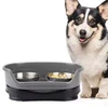 Stainless Steel Pet Double Bowl Food & Water Feeder for Cats and Dogs (Grey/Black)