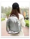 Transparent Pet Backpack – Breathable Double Shoulder Bag for Cats & Small Dogs  