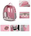 Transparent Pet Backpack – Breathable Double Shoulder Bag for Cats & Small Dogs  