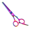 Professional Colorful Stainless Steel Hair Scissors Set with Comb Dog Grooming Tools