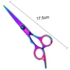 Professional Colorful Stainless Steel Hair Scissors Set with Comb Dog Grooming Tools
