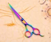 Professional Colorful Stainless Steel Hair Scissors Set with Comb Dog Grooming Tools