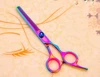 Professional Colorful Stainless Steel Hair Scissors Set with Comb Dog Grooming Tools