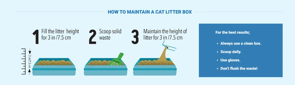 Kiki Kat Natural Unscented Clumping Cat Litter