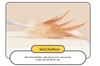 Interactive Rechargeable Electric Plush Mouse with Feather Cat Toy 
