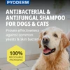 Virbac Pyoderm Chlorhexidine Shampoo for Dogs & Cats – Antibacterial Skin Treatment for Infections, Itching & Dermatitis (250ml)