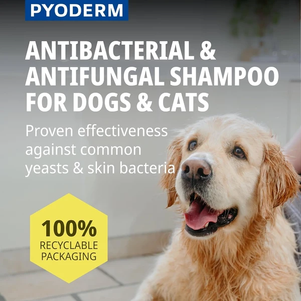 Virbac Pyoderm Chlorhexidine Shampoo for Dogs & Cats – Antibacterial Skin Treatment for Infections, Itching & Dermatitis (250ml)