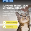 Virbac Pyoderm Chlorhexidine Shampoo for Dogs & Cats – Antibacterial Skin Treatment for Infections, Itching & Dermatitis (250ml)