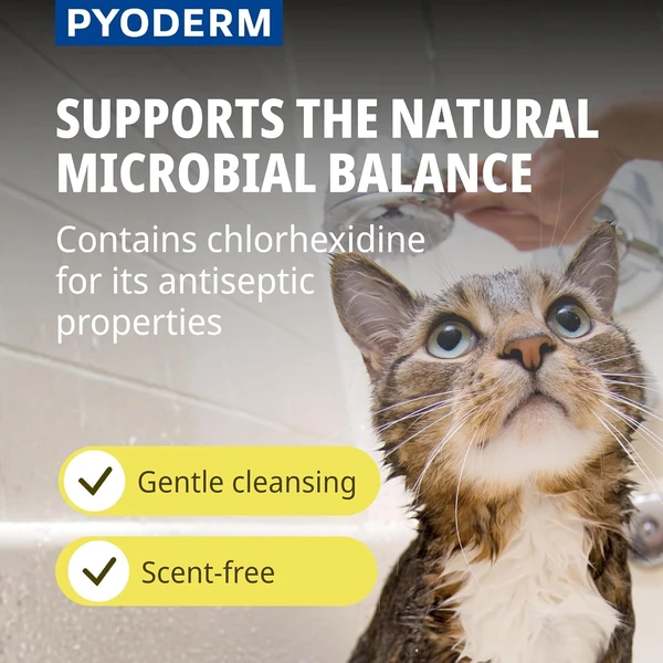 Virbac Pyoderm Chlorhexidine Shampoo for Dogs & Cats – Antibacterial Skin Treatment for Infections, Itching & Dermatitis (250ml)