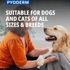 Virbac Pyoderm Chlorhexidine Shampoo for Dogs & Cats – Antibacterial Skin Treatment for Infections, Itching & Dermatitis (250ml)