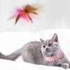 Interactive Adjustable Silicone Cat Collar with Wire, Feather & Bell Self Play Cat Toy 