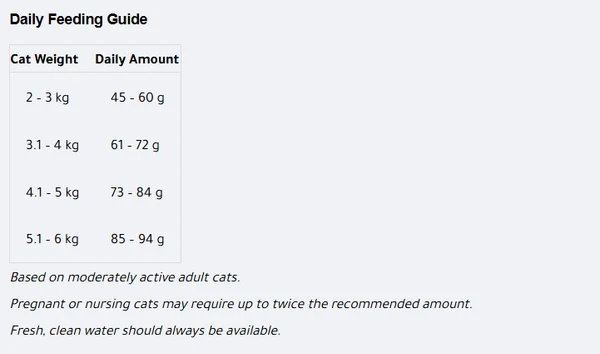 Catlly Premium Special Adult Cat Dry Food with Fish