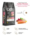 Catlly Premium Special Kittens Dry Food with Salmon & Rice