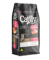Catlly Premium Special Kittens Dry Food with Salmon & Rice