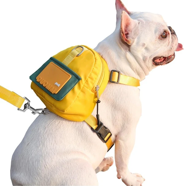 Nylon Dog Backpack with Adjustable Harness and Leash Set – Waterproof Lightweight Outdoor Travel Dog Bag (Small)