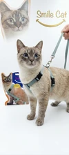 Adjustable Nylon Cat Harness & Leash Set Outdoor Walking Lead