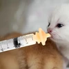 2Pcs Pet Nursing Soft Silicone Nipples Two Different Sizes Compatible with Syringes for Feeding Kittens & Puppies