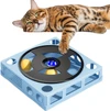 Interactive Cat Puzzle Toy – Plastic Square Maze Box Phonograph Design with 4 Balls for Indoor Cats (Blue)