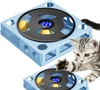Interactive Cat Puzzle Toy – Plastic Square Maze Box Phonograph Design with 4 Balls for Indoor Cats (Blue)