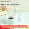 2-in-1 Plastic Pet Food and Water Dispenser with Automatic Water Bottle (500ml) for Cats & Dogs