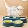 4-in-1 Plastic Pet Food and Water Dispenser – Double Feeding Bowls & Drinking Bowls with Automatic Water Bottle (500ml) for Multi Pets