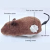 Fun Interactive Plush Wind-Up Mouse Toy for Indoor Cats (No Batteries Needed)