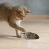 Fun Interactive Plush Wind-Up Mouse Toy for Indoor Cats (No Batteries Needed)