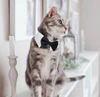 Pet Bow Tie Collar for Dogs & Cats – Adjustable Formal Bowtie Necktie for Small to Medium Pets