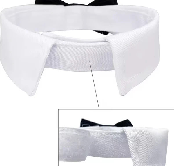 Pet Bow Tie Collar for Dogs & Cats – Adjustable Formal Bowtie Necktie for Small to Medium Pets