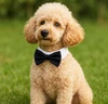 Pet Bow Tie Collar for Dogs & Cats – Adjustable Formal Bowtie Necktie for Small to Medium Pets