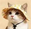 Duck Print Pet Sun Hat – UV Protection Summer Hat for Small Dogs & Cats