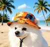 Breathable Pet Sun Hat – UV Protection Summer Hat for Small & Medium Dogs and Cats
