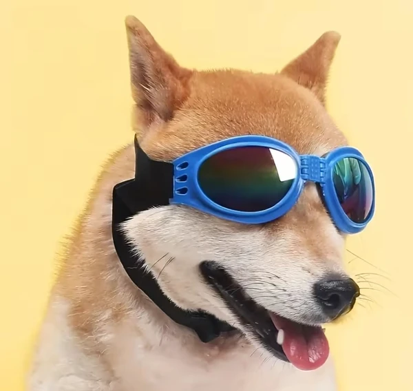 Dog Goggles Sunglasses – One-Size Adjustable UV Protection Eyewear for Small & Medium Dogs